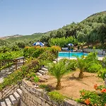 Dionysos