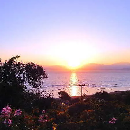 Dionysos Lejlighed Apraos